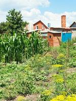 Blick auf den Dorfgarten im Hinterhof foto