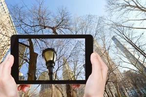 Touristenfotos von kahlen Bäumen in New York foto