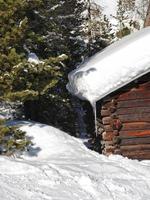 Schneebedecktes Holzhaus und Tanne in den Dolomiten foto