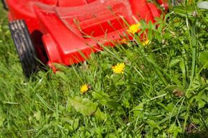 grünes Gras und roter Rasenmäher foto