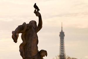 Taube, Statue und Eiffelturm in Paris foto