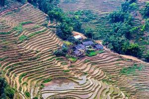Vietnam, Sapa - Reisfelder foto
