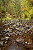 Fluss mit Steinen foto