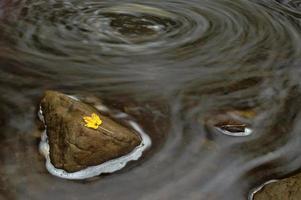 Stein im Wasser foto