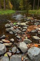 Fluss mit Steinen foto