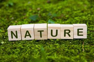 Naturtext auf Holzblöcken mit grünem Naturhintergrund. Mutter-Natur-Konzept foto