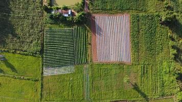 Luftaufnahme des Berges ist schön in Thailand foto