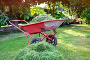 Orangefarbener Wagen verpackt geschnittenes grünes Gras im Vorgarten zur Entsorgung, zum Mähen, zur häuslichen Pflege, zum grünen Rasen. Schneiden Sie das Gras foto