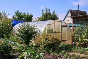 Gewächshaus aus transparentem Kunststoff im Garten. foto