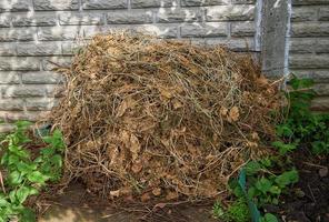 Kompost, altes getrocknetes Gras, das im Hinterhof des Hauses auf einem Haufen gesammelt wurde. foto