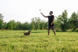 gutaussehender mann wirft seinem kleinen glücklichen hund einen ball zu. beste freunde spielen im sommer zusammen im park. foto