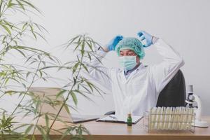 Cannabisforscher führen wissenschaftliche Experimente durch. foto