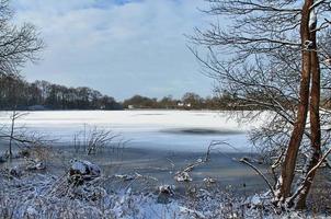 schöne Winteraufnahme an einem See und Wald mit Schnee und Eis. foto