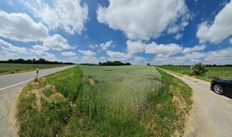 Schönes hochauflösendes Panorama einer nordeuropäischen Landstraße mit Feldern und grünem Gras. foto