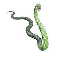 Boomslang-Schlange 3D-Illustration foto