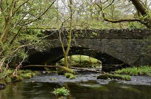 alte gewölbte Steinbrücke über einen Fluss foto