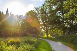 naturpanorama see weg grün pflanzen bäume wald deutschland. foto