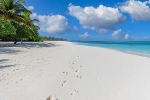 sonniger tropischer strand mit schritten im weißen sand und palmen auf den malediven. fußspuren auf exotischer strandlandschaft, tropische inselküste, ruhiger meerblick unter blauem hellhimmelhorizont. paar urlaub foto