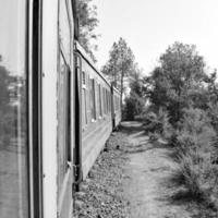 spielzeugeisenbahn, die sich am berghang bewegt, schöne aussicht, eine seite des berges, eine seite des tals, die auf der eisenbahn zum hügel fährt, inmitten grüner naturwälder. spielzeugeisenbahn von kalka nach shimla in indien-schwarz und weiß foto