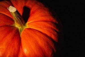 Orange Kürbis Nahaufnahme, Muster und Textur der Schale mit dem Stiel. Hintergrund foto