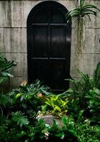 Gartenmauer und antike Tür, der Eingang ist voller Pflanzen, fühlt sich mitten in der Natur im tropischen Wald, Konzept der Naturtherapie. foto