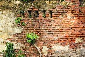 alte und verfallene Backsteinmauer foto