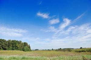 ländliche Naturlandschaft foto