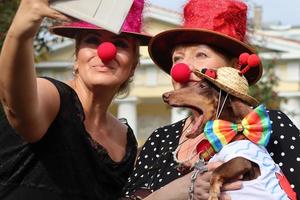 st. petersburg, russland, 2021 - 9. jährliche wursthundparade in st. petersburg, russland. Das diesjährige Thema ist Zirkus. foto