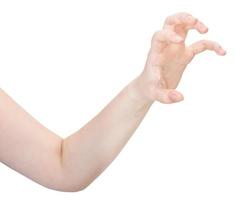 Seitenansicht der Klauenpalme - Geste mit der Hand foto