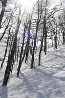 Blick auf die Winterlandschaft foto