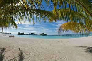 Blick auf den tropischen Strand foto