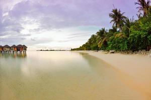 Blick auf den tropischen Strand foto