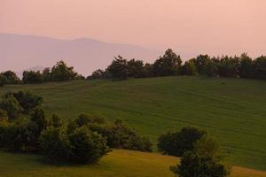 Landschaft Natur Sommer foto