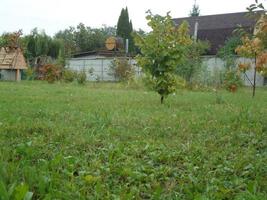 Panorama des Herbstfeldes im Dorf foto