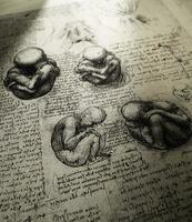 anatomiekunst von leonardo da vinci in der medizinischen ausstellung in kandy foto