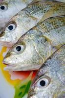 frischer Fisch zum Kochen von Meeresfrüchten foto