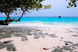 schöner tropischer strand mit baum und blauem himmel für reise in der urlaubsentspannungszeit foto
