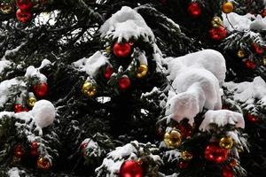 Weihnachten Xmas Tree Ball Detail hautnah unter dem Schnee foto