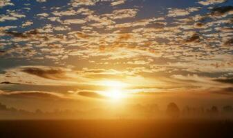 Landschaft Landschaft unter malerischem bunten Himmel mit Vogelschwarm bei Sonnenuntergang Hintergrund. foto