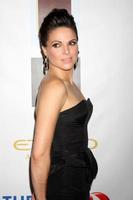 los angeles, 13. september - lana parrilla bei der 5. jährlichen face forward gala im biltmore hotel am 13. september 2014 in los angeles, ca foto