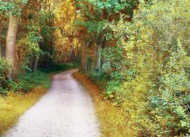 Wunderschöner Panoramablick auf eine goldene Herbstlandschaft in Europa foto