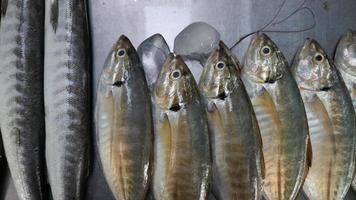 Frischer Meeresfisch, fein säuberlich arrangiert zum Verkauf in einem der traditionellen Fischläden in Indonesien foto