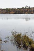 mabula buschveld dam foto