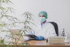 Cannabisforscher führen wissenschaftliche Experimente durch. foto