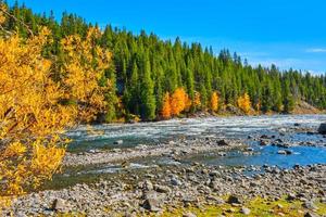 Yellowstone River und Herbstfarben an einem sonnigen Nachmittag im Herbst foto