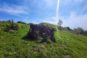 Zweige und Blätter Jagdhütte foto