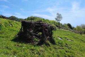 Zweige und Blätter Jagdhütte foto