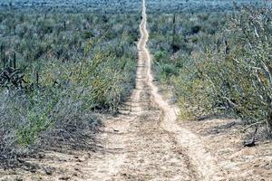 baja california wüste endlose straßenlandschaftsansicht foto