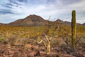 vulkan las tres virgenes baja california sur panorama foto