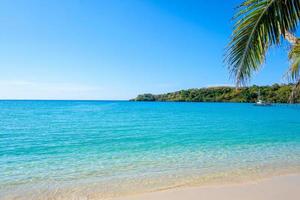 schöner tropischer strand mit palme und blauem himmel für reisen im urlaub entspannen sie sich im sommer foto